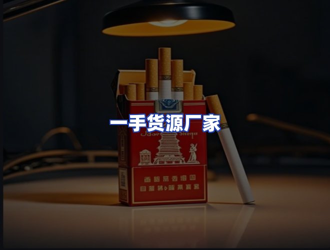 专业团队